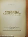 Colectia de arta religioasa veche a Arhiepiscopiei Timisoarei si Caransebesului