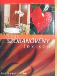 Nagy szobanövény lexikon