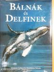 Bálnák és delfinek