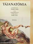 Tájanatómia