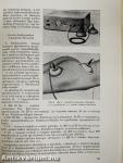 Physiotherapia