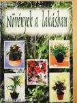 Növények a lakásban