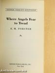 Where Angels Fear to Tread