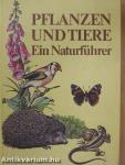 Pflanzen und Tiere
