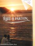 Éjjel a parton