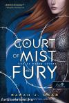 A Court of Mist and Fury - Köd és harag udvara