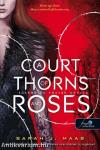 A Court of Thorns and Roses - Tüskék és rózsák udvara