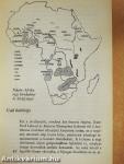 Fekete-Afrika művészete