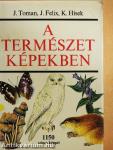 A természet képekben