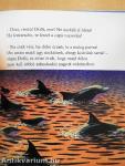 Dolli, a dacoló kisdelfin