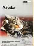 Macska