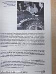 Játék életre-halálra