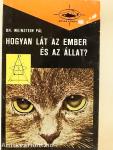 Hogyan lát az ember és az állat?