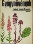 Gyógynövények