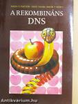 A rekombináns DNS