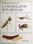 A csodálatos rovarvilág