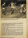 Labdarúgó VB 1966