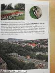 Zöld hegyvidék
