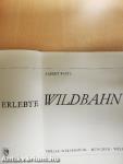 Erlebte Wildbahn