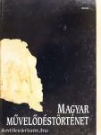 Magyar művelődéstörténet
