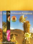 Debreceni pozsgástár 2007/1-4.