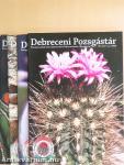 Debreceni Pozsgástár 2006/1-4.