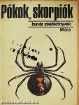 Pókok, skorpiók