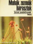 Mohák, zuzmók, harasztok