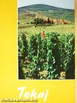 Tokaj