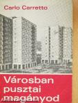 Városban pusztai magányod