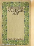 Kaleidoszkop