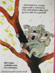 Amit a koalákról feltétlenül tudni kell