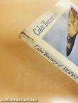 Color Treasury of Model Airplanes