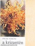 A krizantén