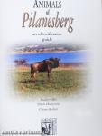 Animals of Pilanesberg