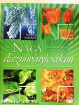 Nagy dísznövénylexikon