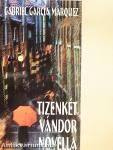 Tizenkét vándor novella