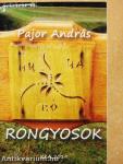Rongyosok