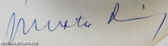 A fények rézsűt esnek (dedikált példány)