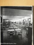 Erik Gunnar Asplund