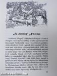 Honszerző Árpád