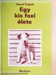 Egy kis foxi élete