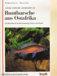 Buntbarsche aus Ostafrika