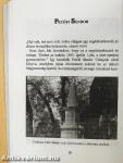 A Petőfi és a Szendrey család