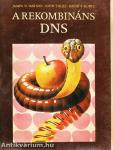 A rekombináns DNS