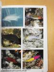 Guide to Sea Fishes of Australia
