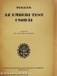 Az emberi test csodái