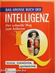 Das Grosse Buch der Intelligenz