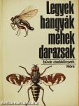 Legyek, hangyák, méhek, darazsak