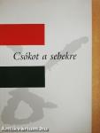Csókot a sebekre